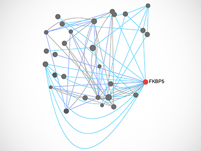 Representative regulatory network for a single androgen regulated gene. Using multiple experimental approaches can characterize the complex interplay between different DNA switches to turn genes on. Image taken from VCHRI News original story.